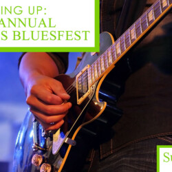 10th Annual Wiregrass BluesFest